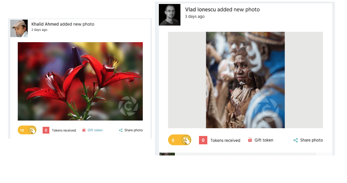 Coinaphoto B2C feed variation