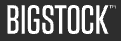 Bigstock.com logo